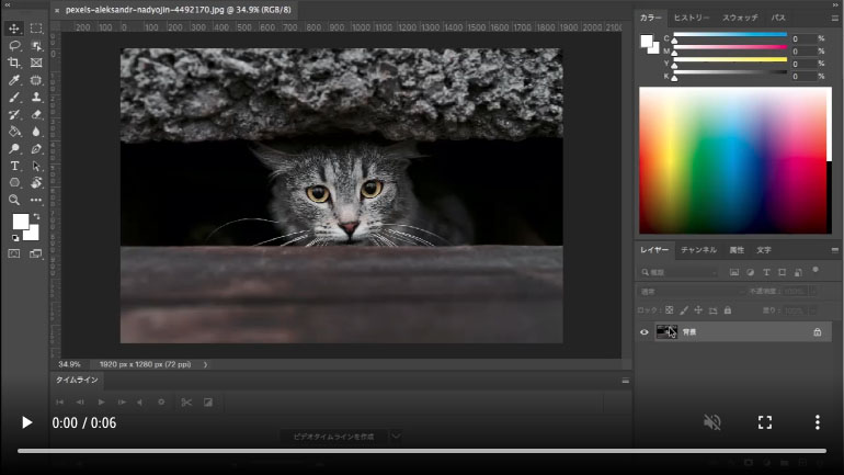 Photoshopで画像の明るさを調整する】初心者もできる簡単な方法 u2014