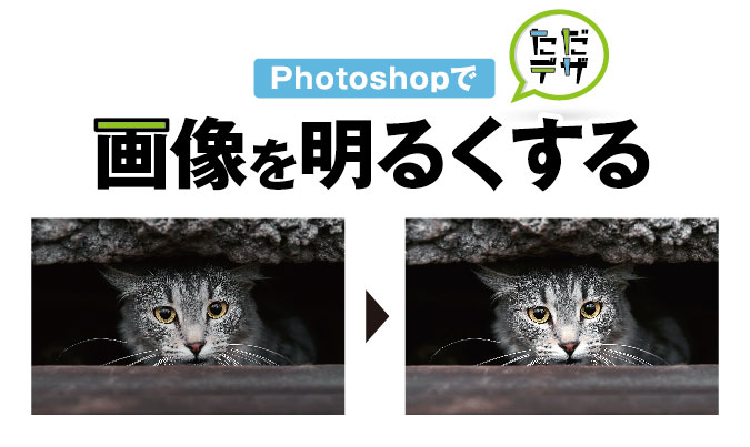 Photoshopで画像の明るさを調整する】初心者もできる簡単な方法 u2014