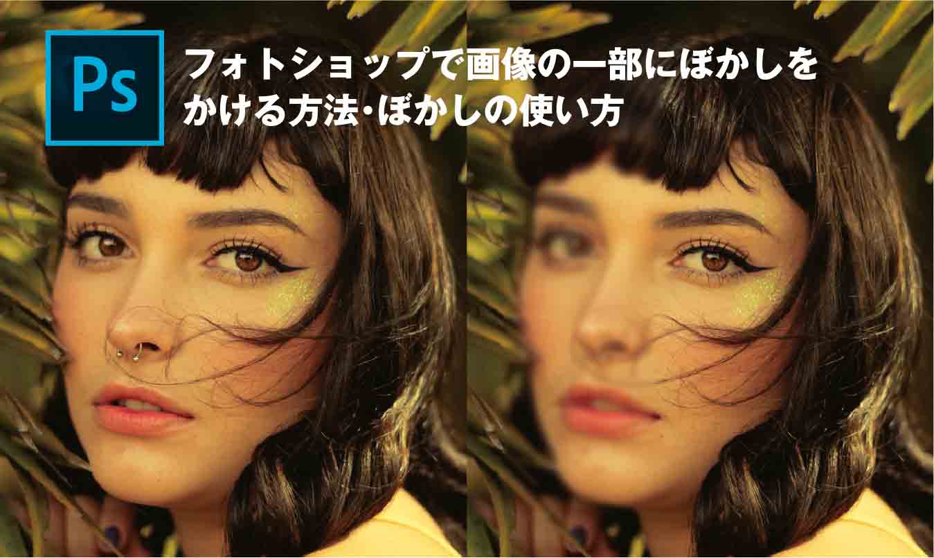 Photoshopで写真の一部にぼかしを入れる方法 ぼかしツール ただデザ