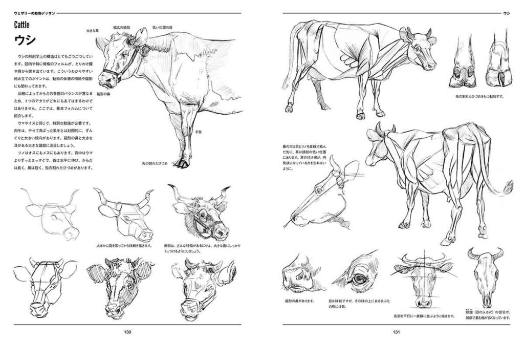 21年 これからはじめる デッサンの本 初心者におすすめの17選 ただデザ