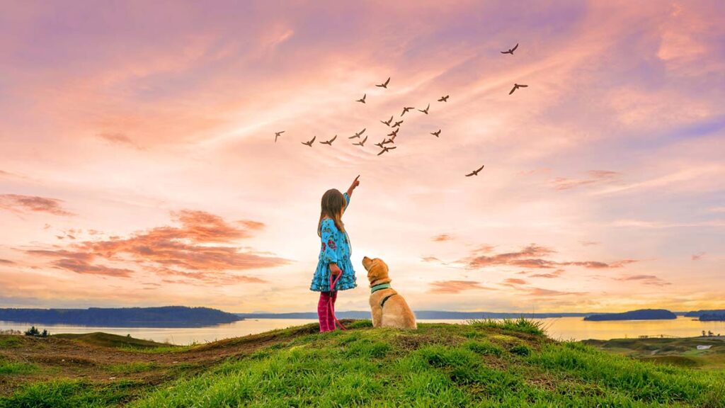 Photoshop Elements
