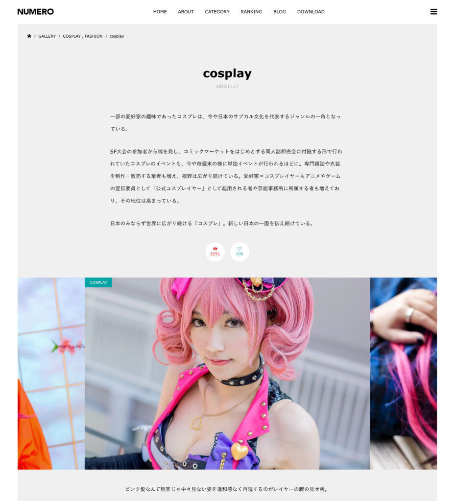 デザイナーのポートフォリオにおすすめの日本語WordPressテーマのTCDのNUMERO